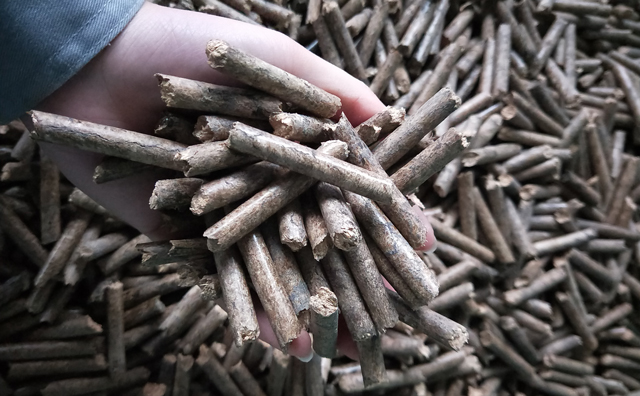 鋸末顆粒機(jī)顆粒，一種快速增長(zhǎng)的能源載體