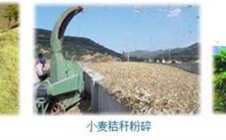 農(nóng)民科學(xué)發(fā)展新思路，秸稈綜合利用成為賺錢好門路之秸稈顆粒機(jī)
