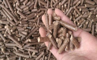 鋸末顆粒機(jī)生物質(zhì)燃料與燃煤對(duì)比情況如何？