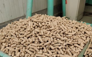 在燃燒時(shí)，水分大的生物質(zhì)顆粒會出現(xiàn)哪些問題？