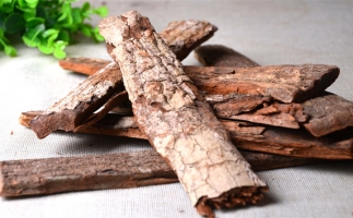 木材加工廠的廢棄物刨花能夠用來做什么？鋸末顆粒機告訴你