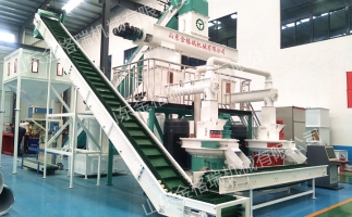 開鋸末顆粒機(jī)顆粒廠需要怎么做？