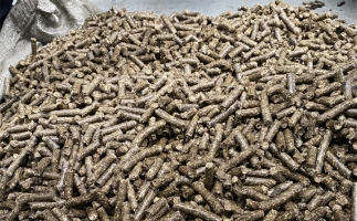 鋸末顆粒機(jī)的顆粒燃料比煤炭貴，為什么還有那么多人用？