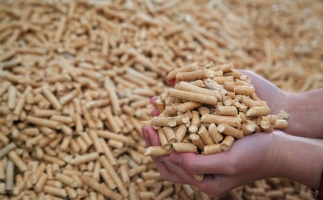 鋸末顆粒機生物質(zhì)顆粒，你需要知道的常識問題