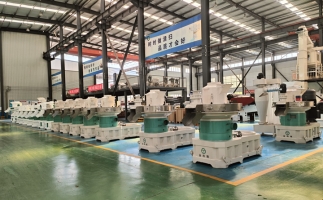 2025 年投資木屑顆粒機的十大核心優(yōu)勢與實戰(zhàn)指南